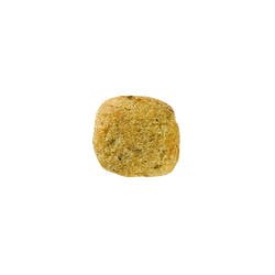 Gatos Castrados-Young Female 3,5 Kg