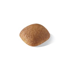 Golden Retriever Adulto 12 Kg