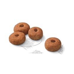 Maxi Castrado x 7,5kg