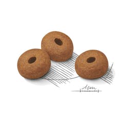 Maxi Weight Care x 10 kg