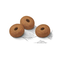 Medium Weight Care x 10kg