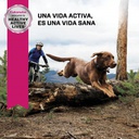 Eukanuba Adult Large Breed x 15 kg