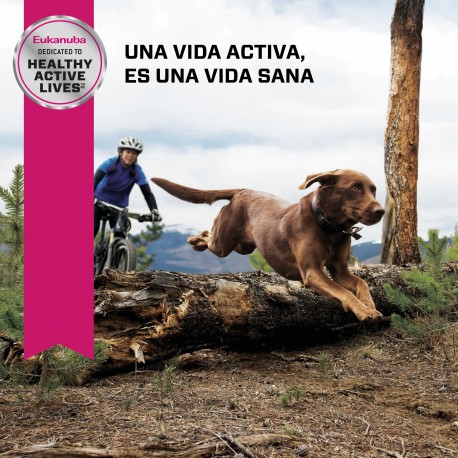 Eukanuba Adult Senior large breed 15 KG