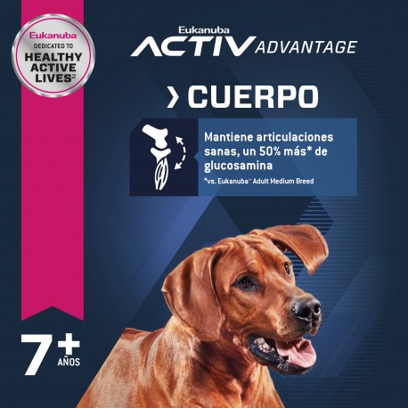 Eukanuba Adult Senior large breed 15 KG