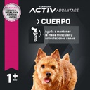 Eukanuba Adult Small Breed 3 KG