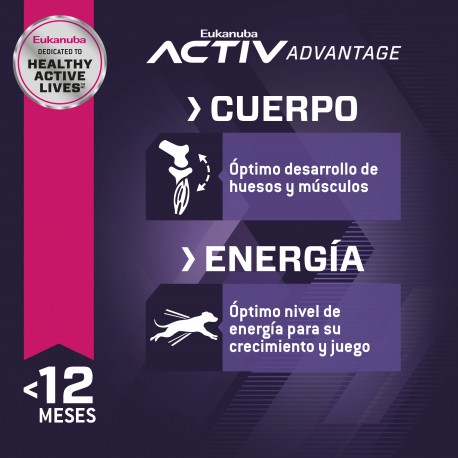 Eukanuba Puppy Large Breed 1 KG