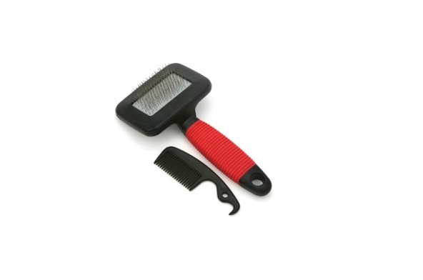 CARDINA PLASTICA CHICA  MISTER HUESO