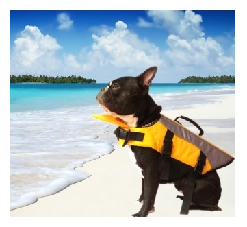 CHALECO SALVAVIDAS XS 18 CM - PER-ROS