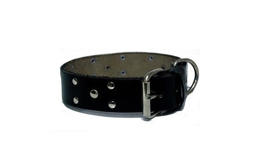 COLLAR DE CUERO CON TACHAS Nº5 KIPPER