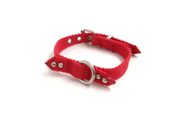 COLLAR NYLON FINO FANTASIA 35X1,5CM. MISTER HUESO