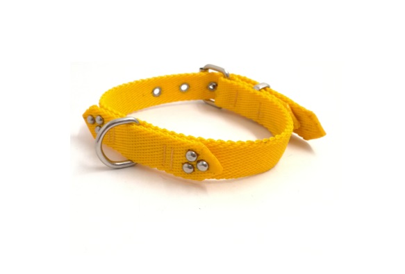 COLLAR NYLON MEDIO FANTASIA 40X2CM. MISTER HUESO