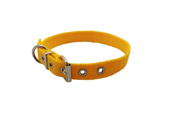 COLLAR NYLON MEDIO LISO 40X2CM. MISTER HUESO