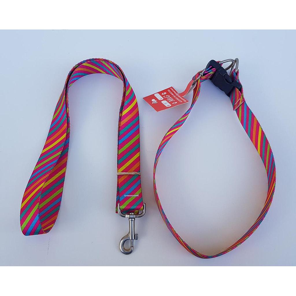 conjunto collar regulable y correa poliester n°4