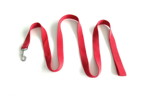 CORREA NYLON ANCHA 200X3CM MISTER HUESO