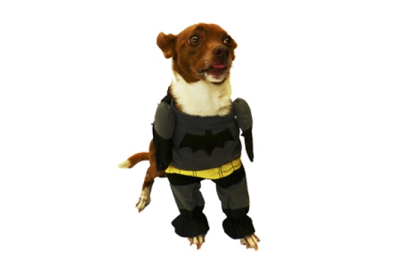 DISFRAZ BATMAN Nº3 35 CM.- PER-ROS