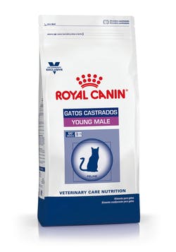 Royal Canin Gatos Castrados-Young Male 3,5 Kg