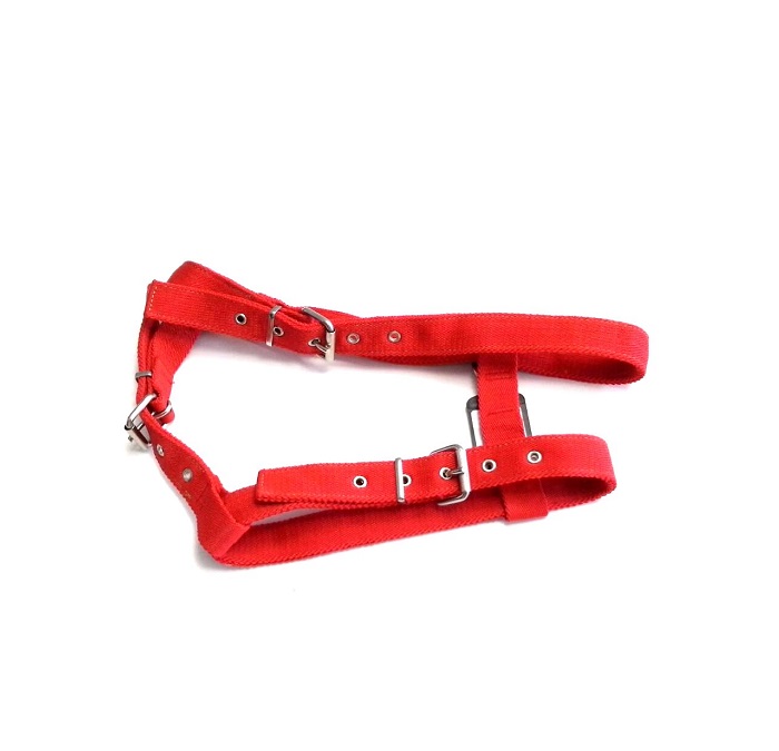 ARNES NYLON "PIT BULL" AJUSTABLE ECONOMICO - MISTER HUESO