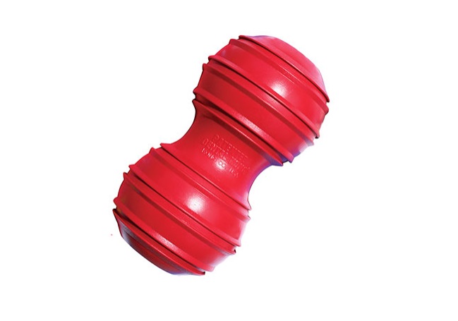 KONG DENTAL LARGE DK1 - KONG