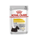 Royal Canin Alimento Húmedo Dermacomfort 12x85grs