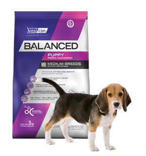 Vital Can Balanced Perro Cachorro Raza Mediana X 12 Kg.