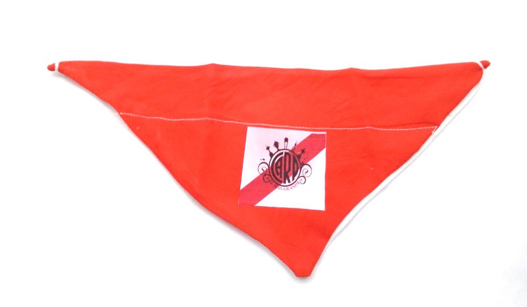 PAÑUELOS RIVER MEDIANOS - DM