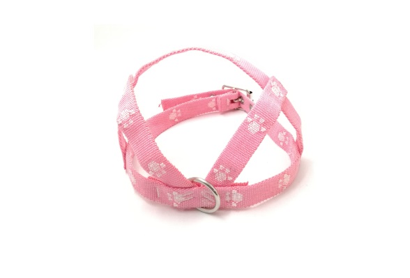 PRETAL CH. PROM ABDOM.33CM.X15 - MISTER HUESO