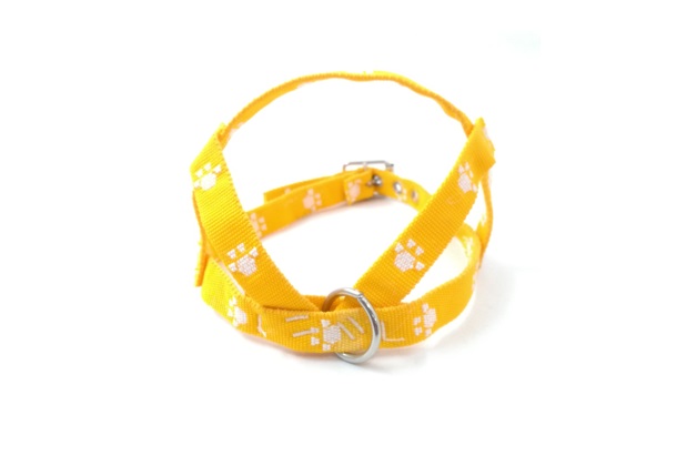 PRETAL CH. PROM ABDOM PATITAS .56CM.X20 - MISTER HUESO