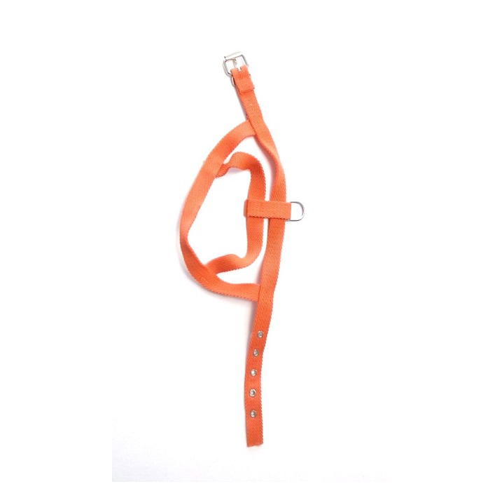 PRETAL N°5 - FAMILY PETS