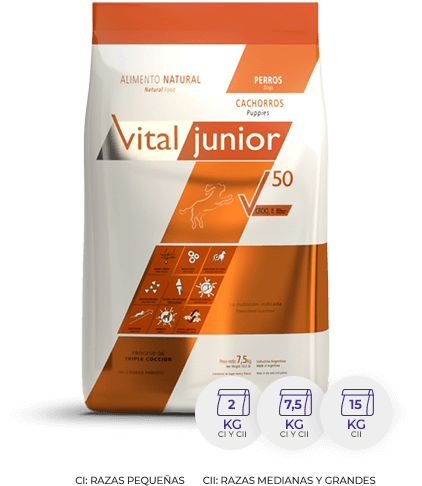 Vital Can V56 Kitten Doypack X 2kg