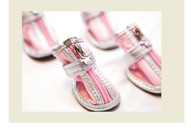 BOTAS ESPECIAL CON PATITAS Nº2 - PER-ROS