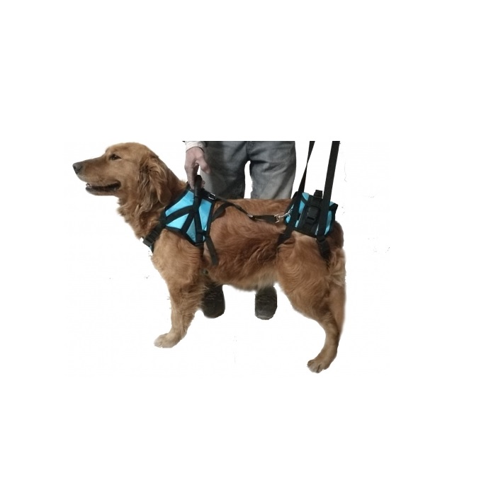 ORT. ARNES PARA POSTERIORES MEDIUM - PER-ROS