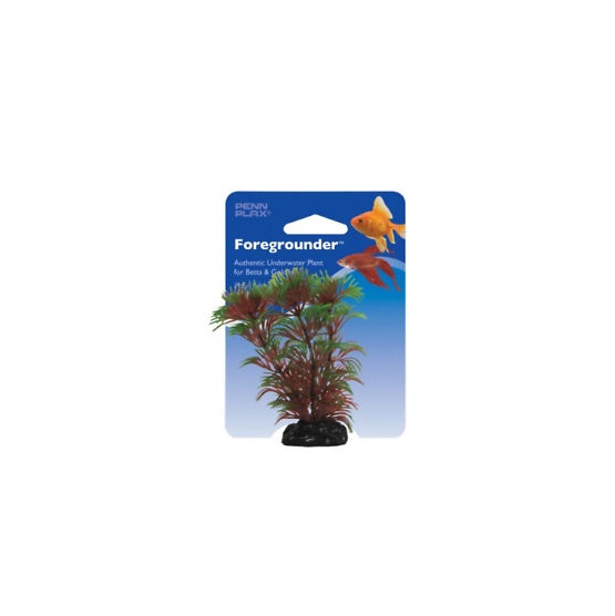 PLANTA SMALL  CABOMBA PPBT21 - PENNPLAX